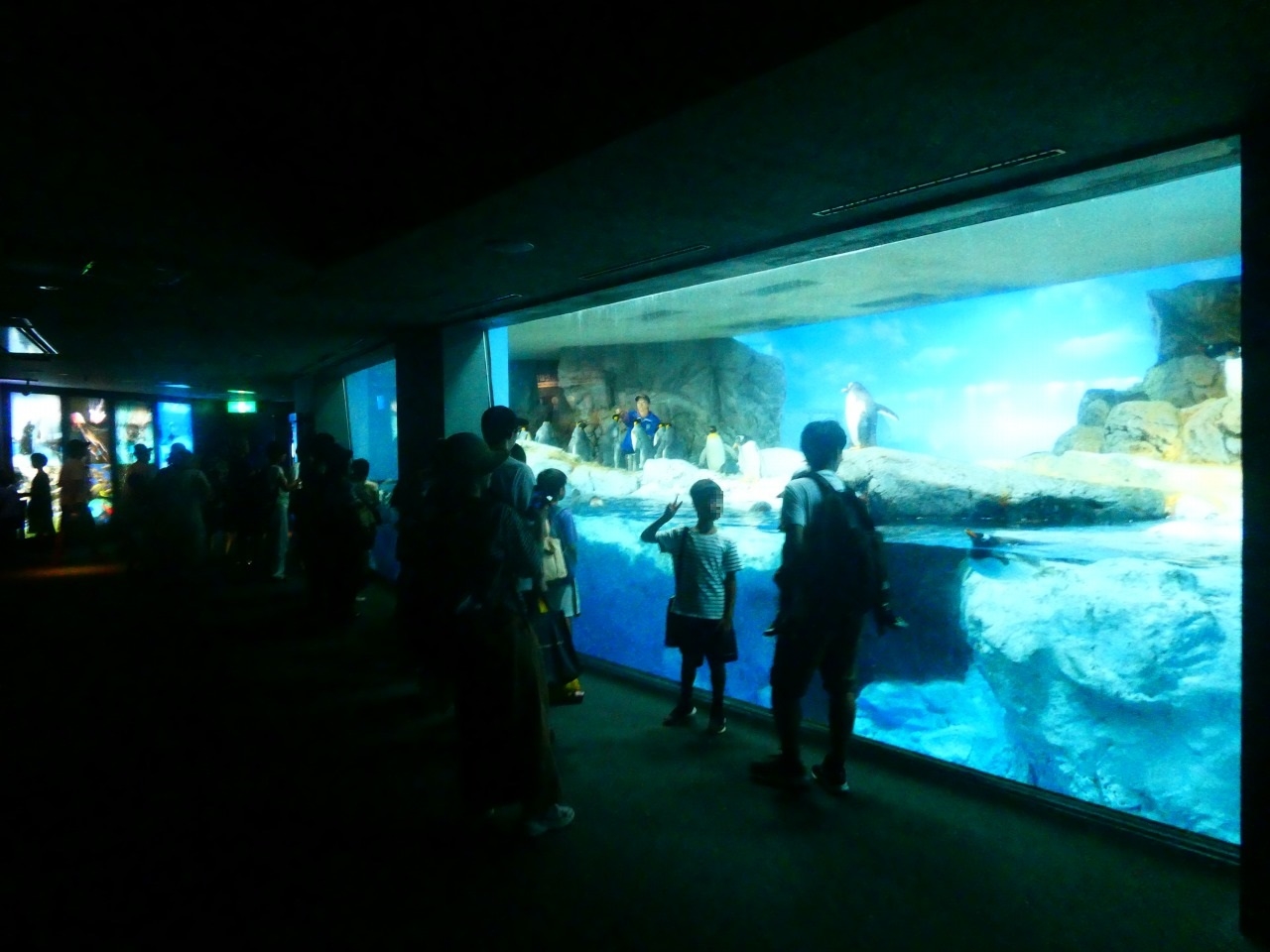 安房鴨川(スポット)